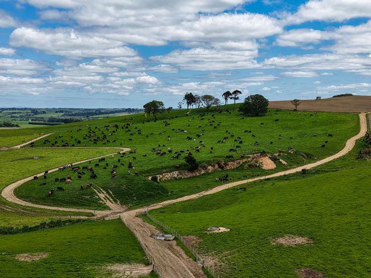 1532 Wyndham Letterbox Road Mataura Island_9