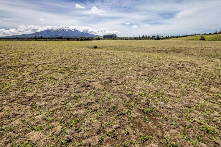 Lot 13 Matapuna Road Horopito_9