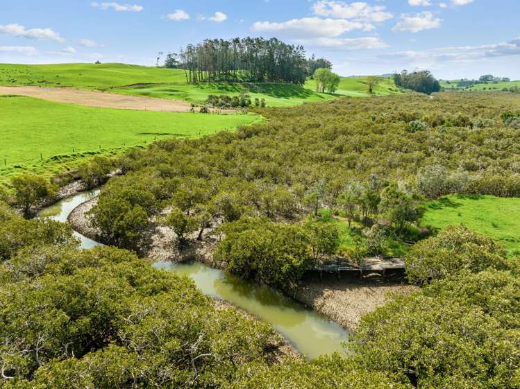 116 Springfield Road Oakleigh_9