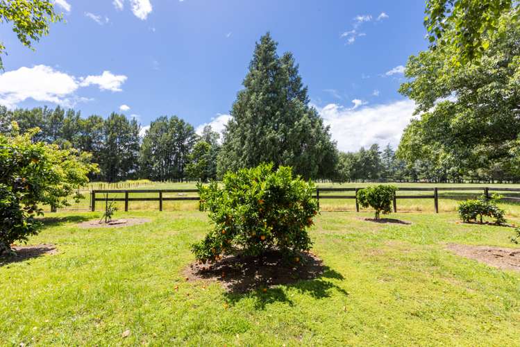 116 Ru Collin Road Bridge Pa_14