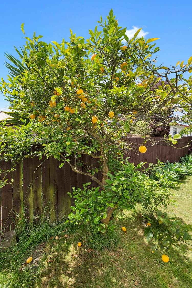 19b Leven Lane Totara Heights_12