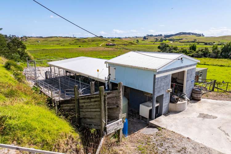 90 Colville Road Dargaville_30