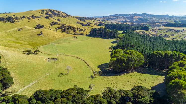 219 Te Kanuka Road Masterton_9