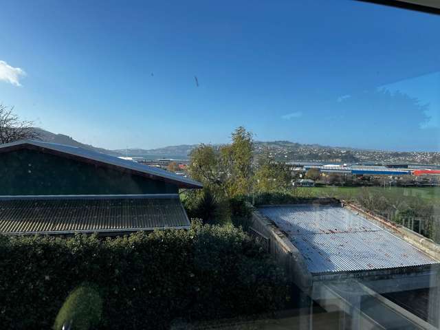 22A Maitland Street Dunedin Central_4