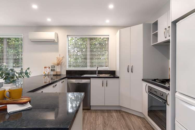 1b Amstel Lane Richmond_10