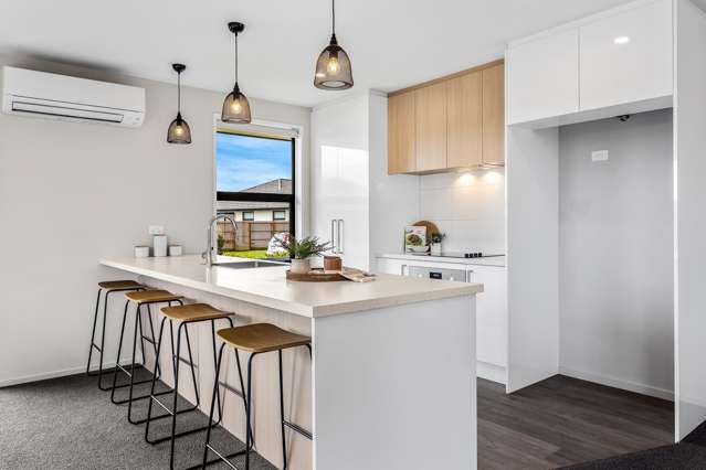 35 Bonecrusher Street Lincoln_2