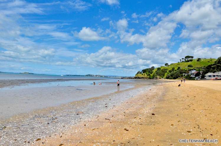 141 Vauxhall Road Narrow Neck_15