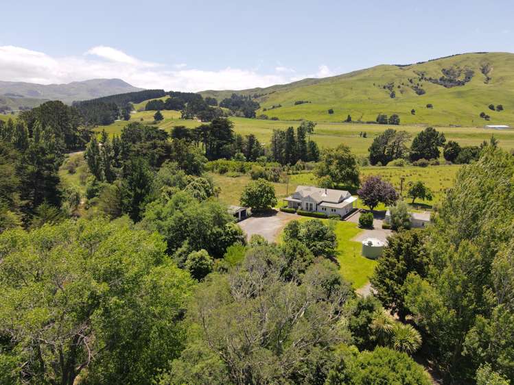 157 Waihi Valley Road Waione_10
