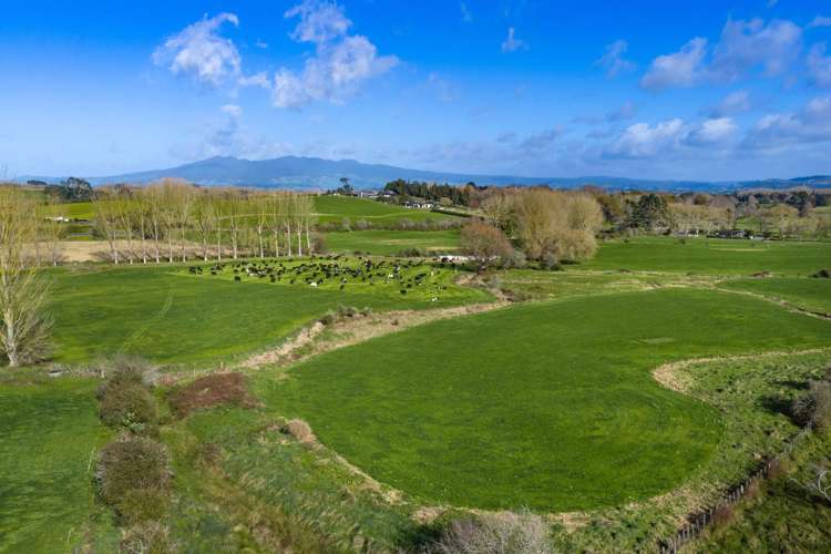 102 Gillard Road Ngahinapouri_14