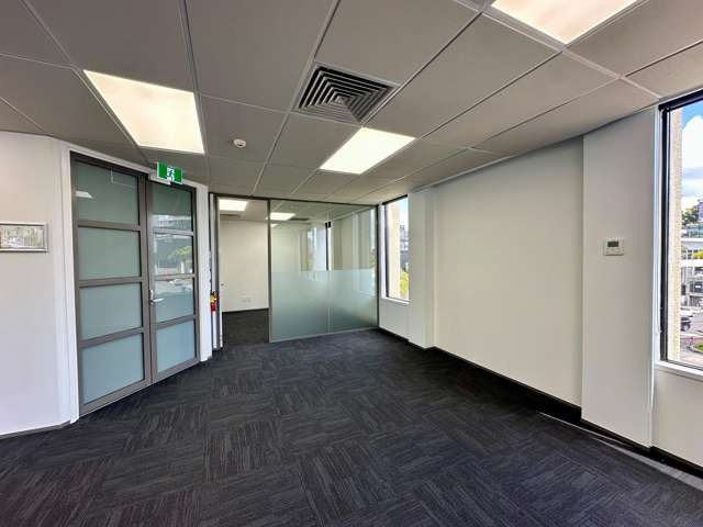 10 College Hill Freemans Bay_3