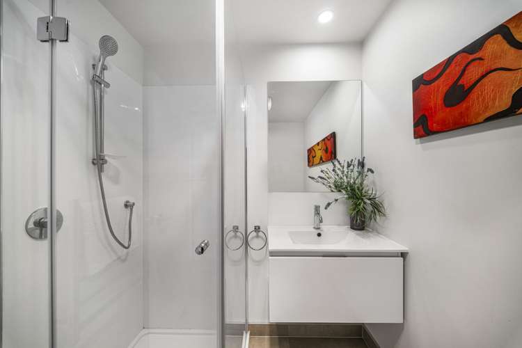 40 Clay Works Lane New Lynn_9