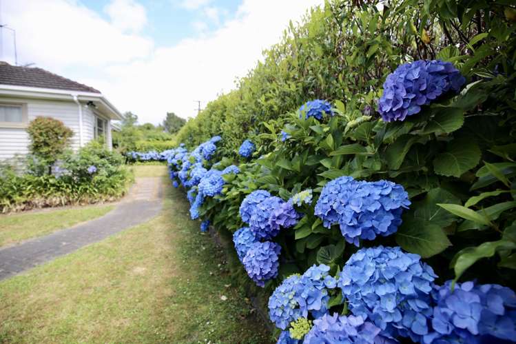 229 Te Rapa Road Beerescourt_8