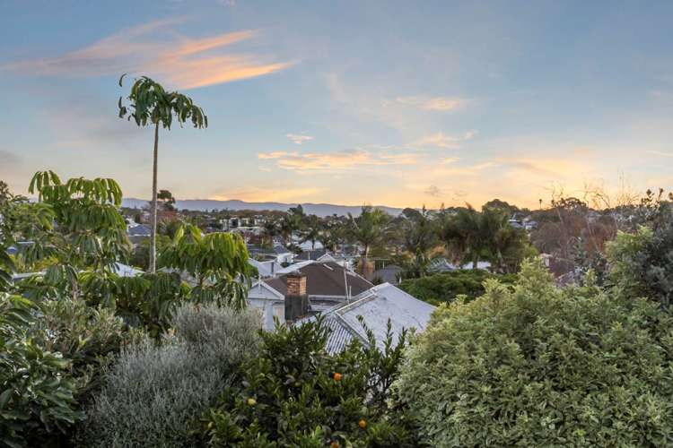 59 John Street Ponsonby_16