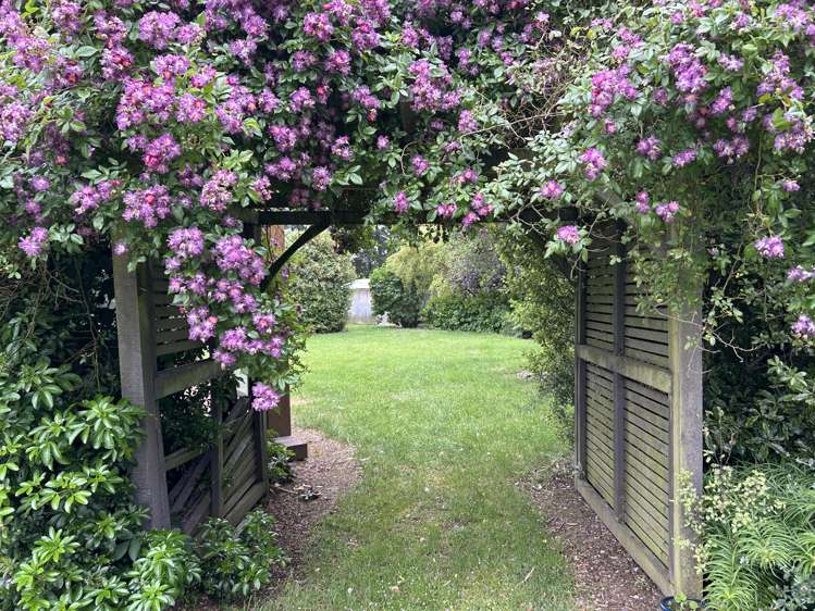 986 Selwyn Road Burnham_22