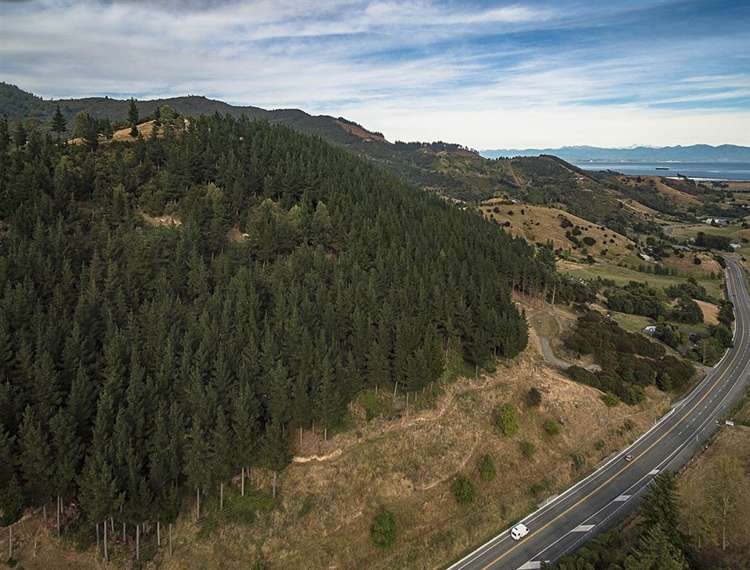 584 Wakapuaka Road Wakapuaka_23