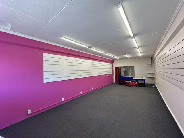 3 Amohia Street Paraparaumu_2