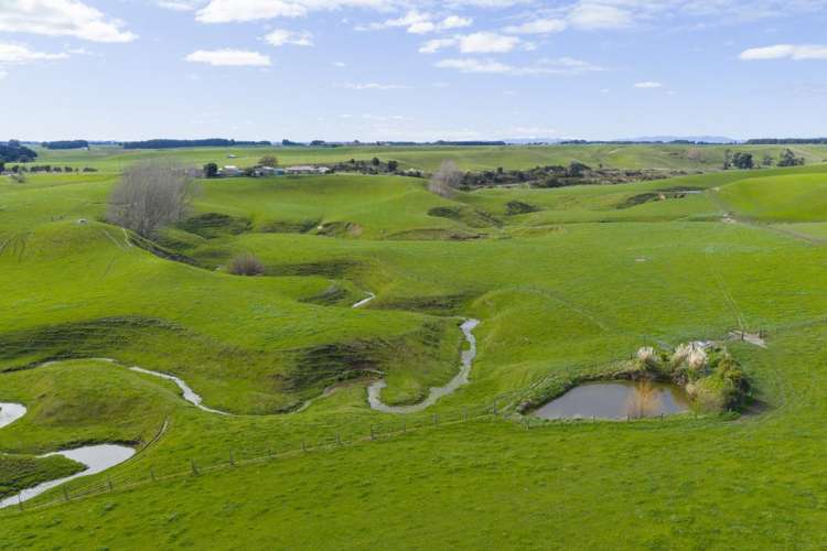 56 Managhs Road Halcombe_14