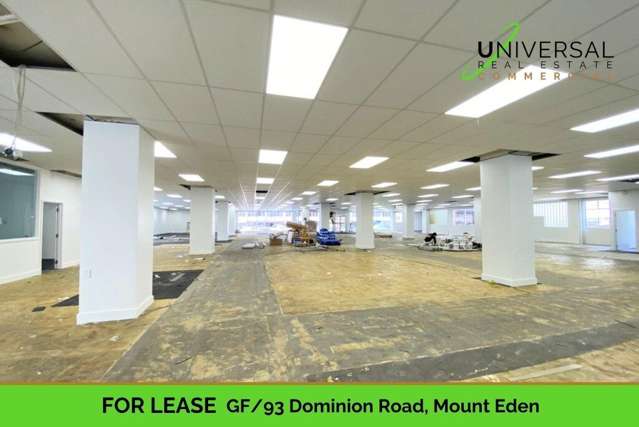 GF/93 Dominion Road Mount Eden_4