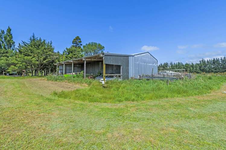498 Leeston Road Springston_25