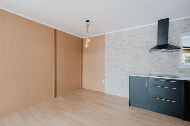 29 Sayer Street Frankton_3