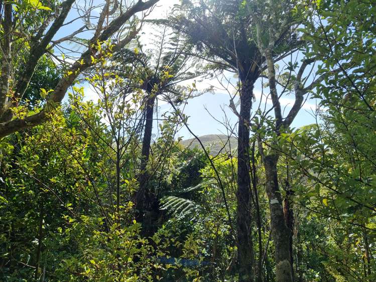 268b Stratton Street Normandale_5