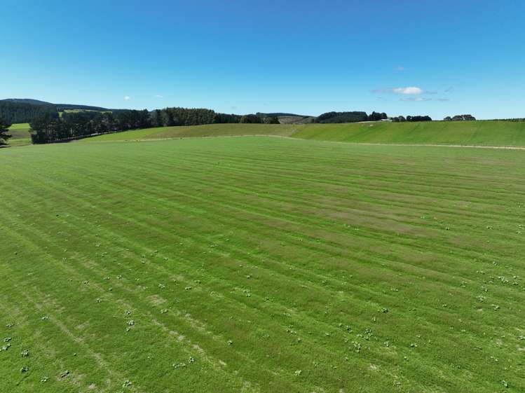 548 Mitchell Road Glenham_10