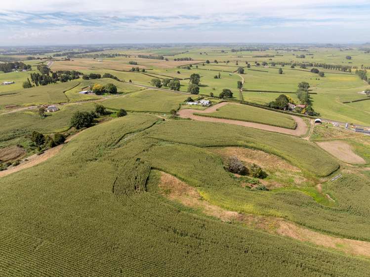 1179 Tahuna Road Ohinewai_3