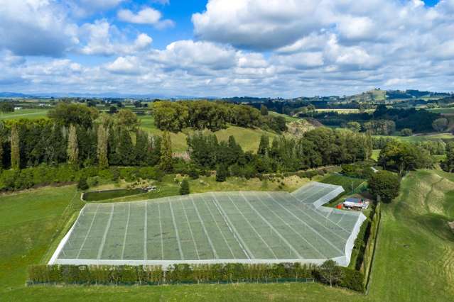 G3 Gold - Covered Organic Kiwifruit Orchard 1.83ha