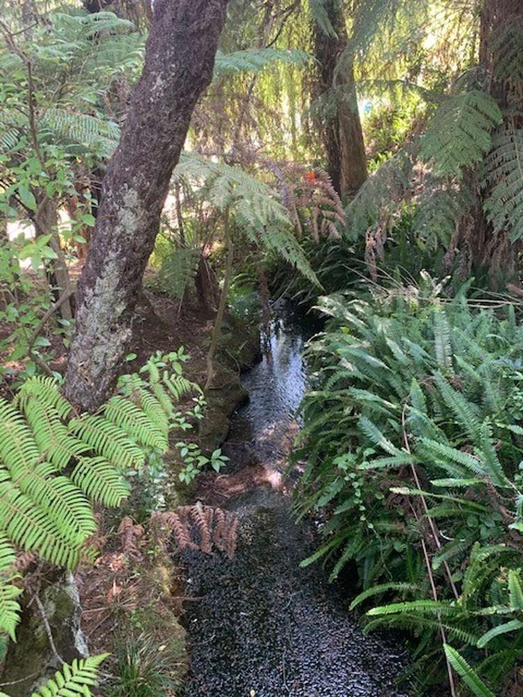 129 Bays Road Orere Point_4