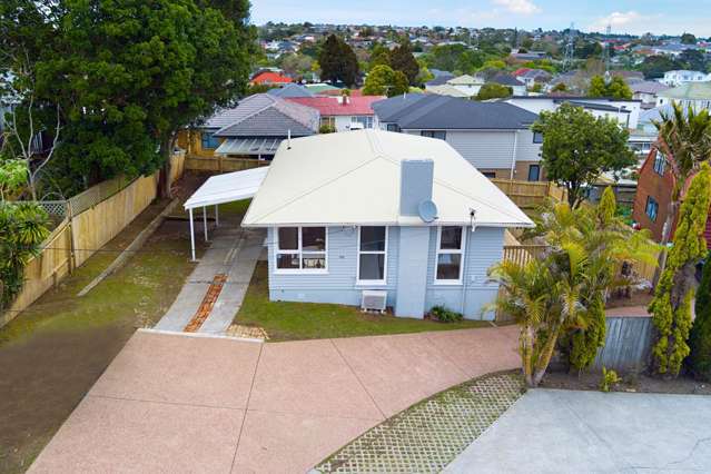 303 Blockhouse Bay Road Avondale_1