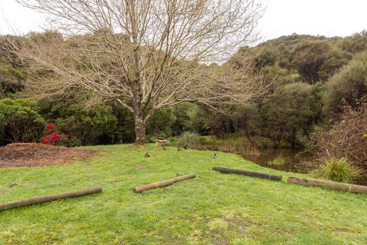 100 Hair Street Wainuiomata_15