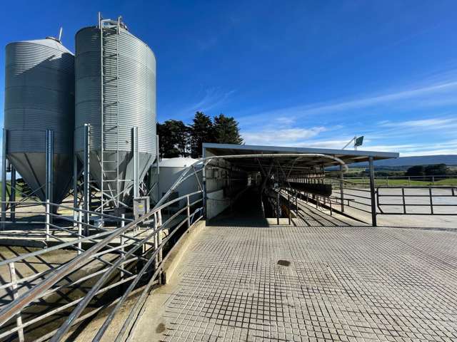 300 Centre Road Ermedale_1