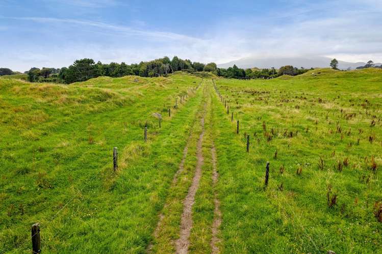 955 Opua Road Opunake_17