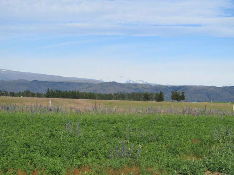 548 Springvale Road Alexandra_7