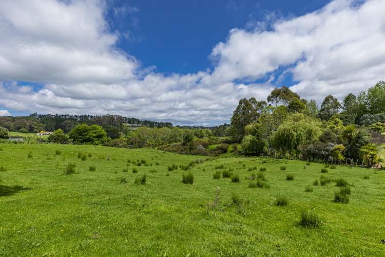 99 Potter Road Dairy Flat_19