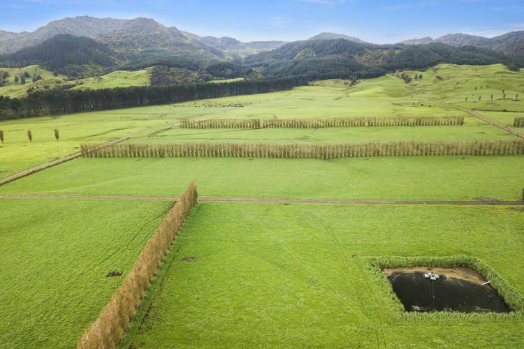 1369 Te Aroha-Gordon Road Manawaru_7