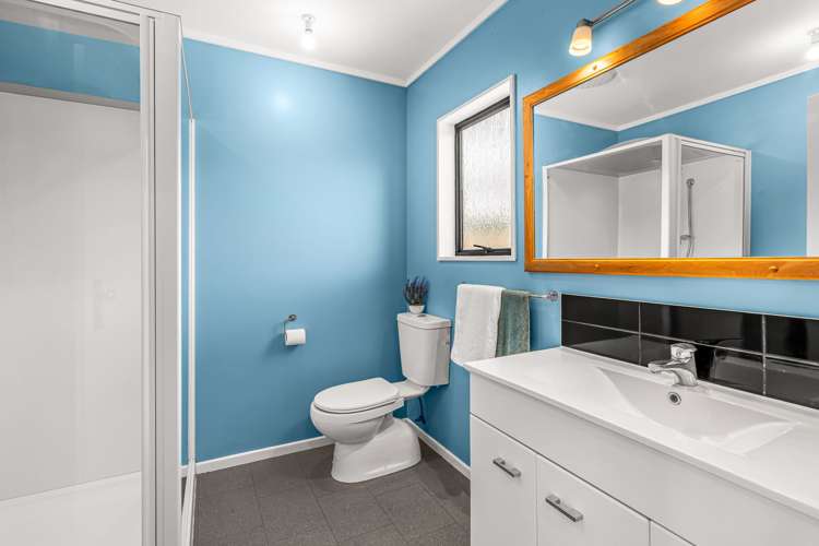 15 Willow Avenue Stoke_14