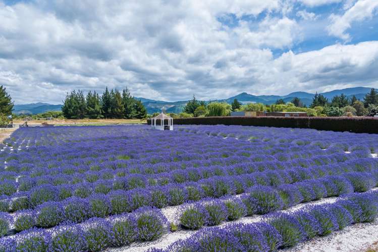 25 Bay End Rarangi_28