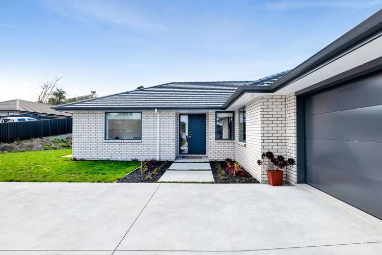23 Atutahi Street Hurdon_6