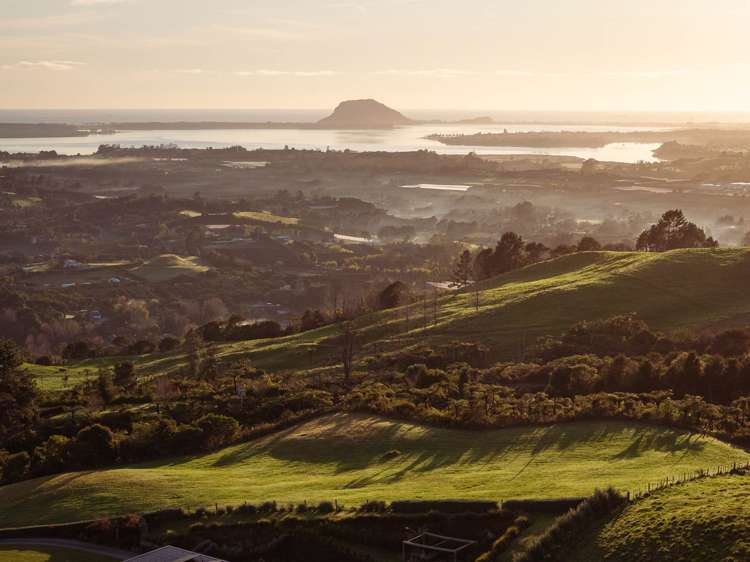 8 Pheasant Lane Te Puna_8