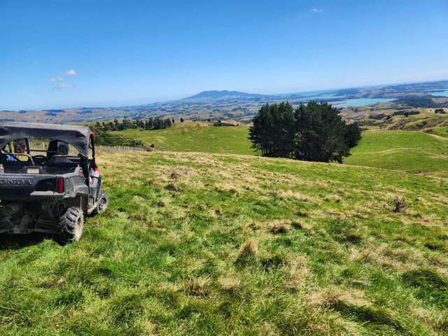 LEASE - Scale & Versatility – Waipa Ranui 530ha