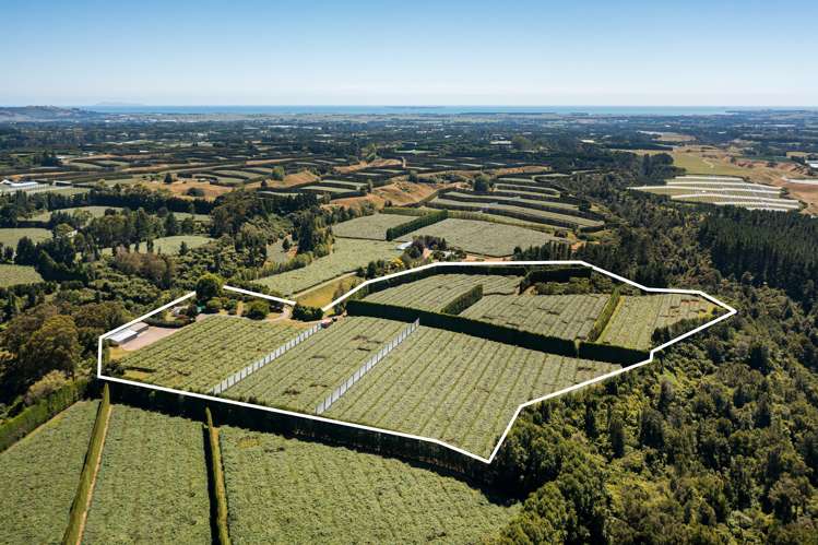 881b Te Matai Road Te Ranga_14