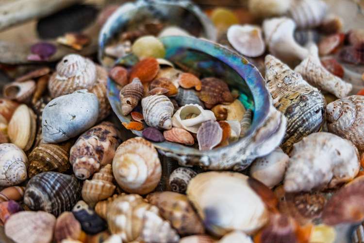 1768 Wainui Road Kaeo_35