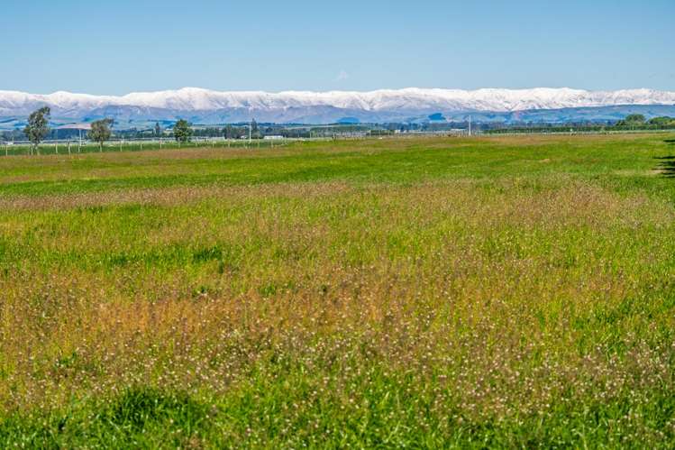 779 Timaru Temuka Highway Kerrytown_23