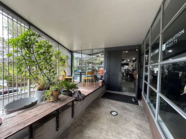 21 Scanlan Street Grey Lynn_2