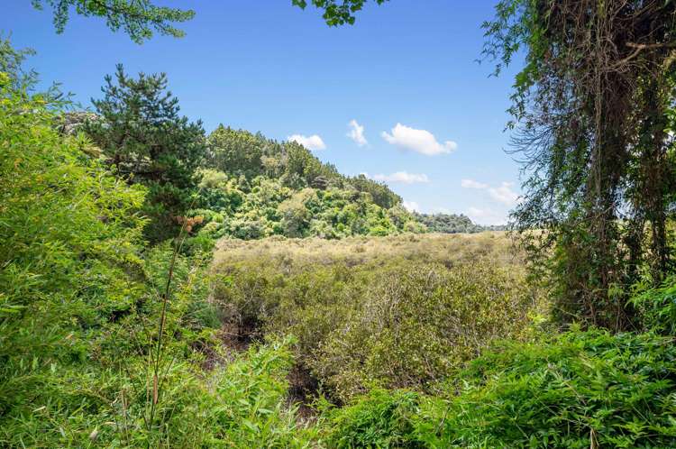 34 Lowtherhurst Road Massey_17