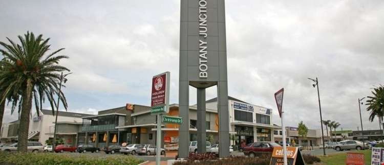 158b Flat Bush School Road Flat Bush_6