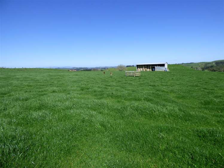 546 Ngutunui Road Otorohanga_23