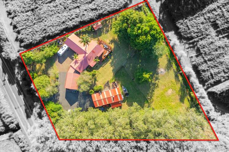 188 Gun Club Road Pukekohe_19