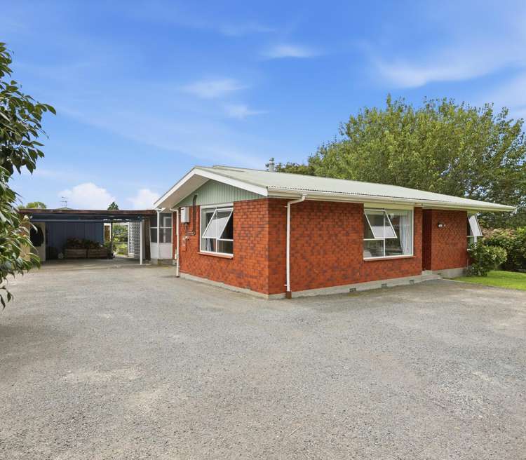 79 Queen Street Te Puke_3